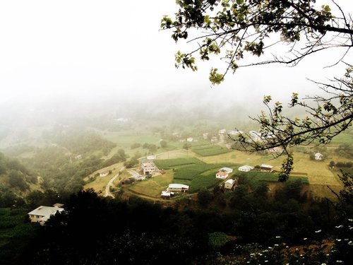De Ardennen: unieke natuurpracht!
